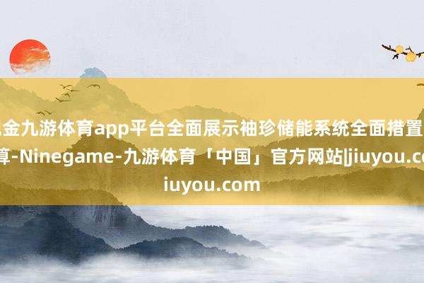 现金九游体育app平台全面展示袖珍储能系统全面措置有打算-Ninegame-九游体育「中国」官方网站|jiuyou.com