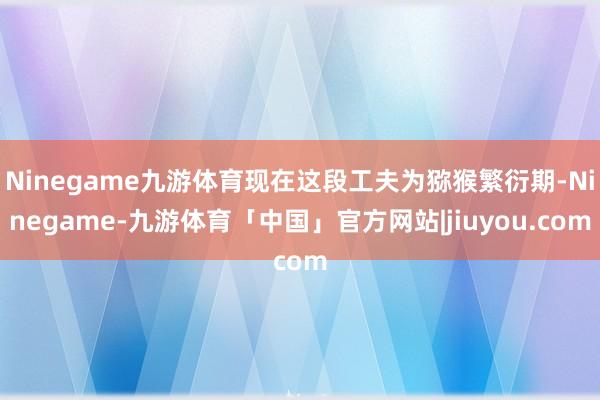 Ninegame九游体育现在这段工夫为猕猴繁衍期-Ninegame-九游体育「中国」官方网站|jiuyou.com